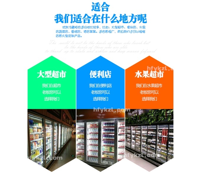 BL-D型三门便利店专用冷柜 -分类页面