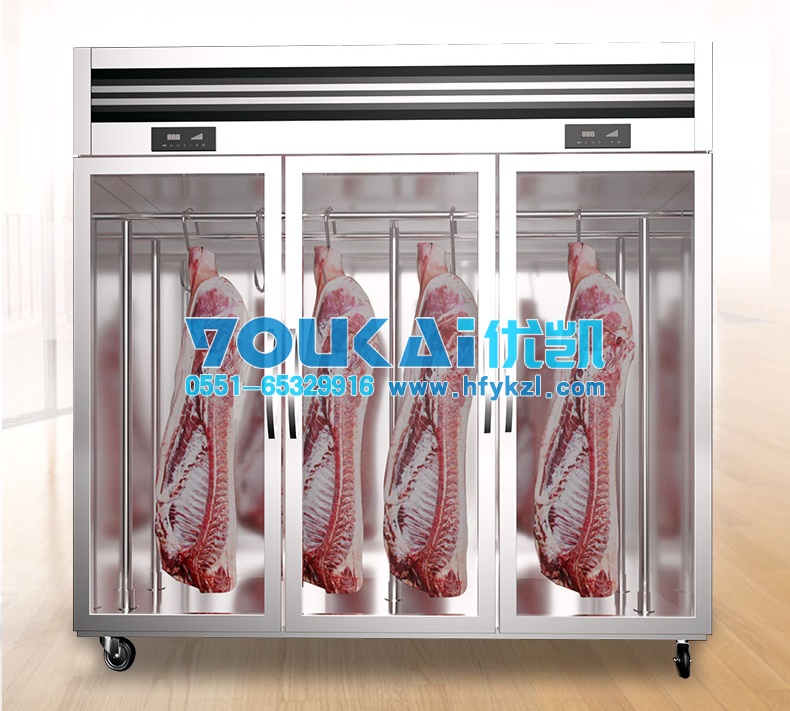 億彩挂肉柜3门
